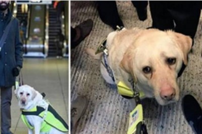 Niewidomy lekarz rozpłakał się po tym, jak ludzie potraktowali jego i jego psa przewodnika w metrze! 