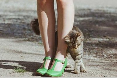 Dlaczego kot ociera się o Twoje nogi? Nie miałam do tej pory pojęcia dlaczego to robią!