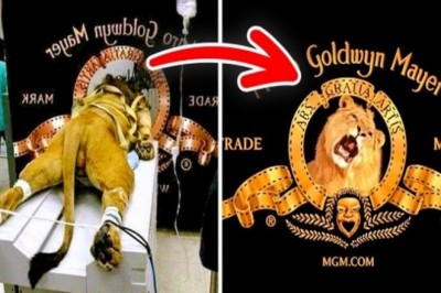 Zaskakujące fakty o logach znanych marek! Nawet nie przeszło Ci to przez myśl jak na nie patrzyłaś!