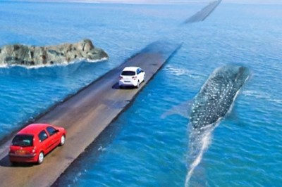 Przejazd tymi drogami zapiera dech w piersiach! Nr 5 po prostu przeraża i fascynuje jednocześnie!