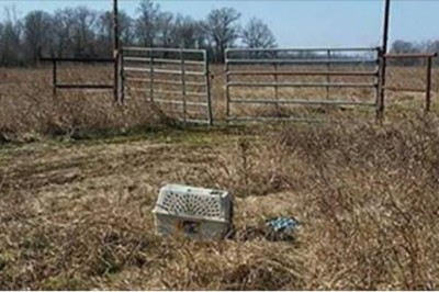 Dwóch motocyklistów znalazło porzuconą na odludziu klatkę! Długo nie zapomną tego, co w niej zobaczyli!