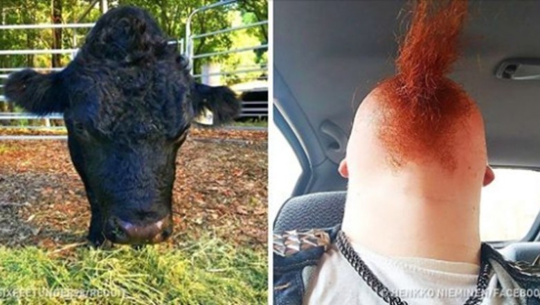 15 fascynujących zdjęć, które powstały zupełnie normalnie i bez Photoshopa!