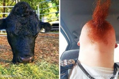 15 fascynujących zdjęć, które powstały zupełnie normalnie i bez Photoshopa! 