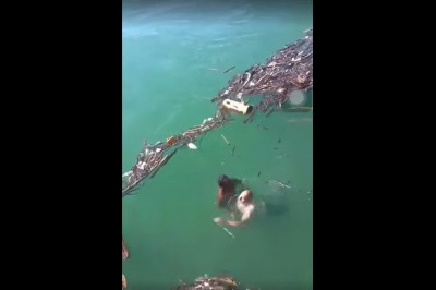 Tragedia na oczach gapiów! Mężczyzna zaczyna tonąć razem z facetem, który próbował mu pomóc!