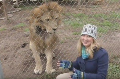 Proszę zobaczyć jaki ładny kotek! Po tej akcji reporterka zawsze wozi ze sobą drugą parę majtek :D