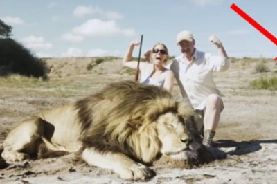 Dwoje myśliwych pozuje do zdjęcia przy zabitym lwie! Nagle zaczynają uciekać z krzykiem!