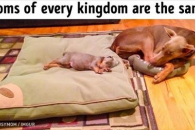 20 wzruszających zdjęć które skruszą nawet najtwardsze serce! Nie wstydź się uronić łzy! 