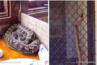 14 Zdjęć pokazujących, że Australia nie jest po prostu innym krajem – to zupełnie inny świat!