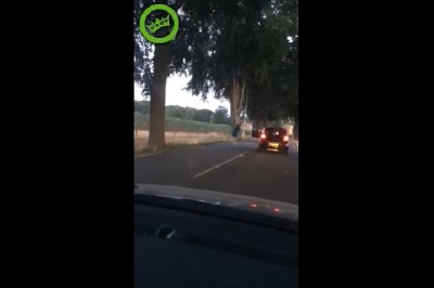 Nagranie jak Polak rozbił auto na drzewie, bo wyskoczył z auta, żeby nagrać śmieszny film!