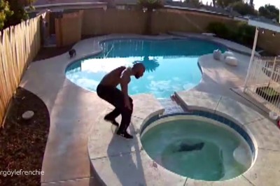 Okazało się, że nie umie pływać! Szybkie ratowanie psa, który wpadł do basenu! 