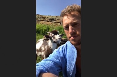 „Domyśl się o co mi chodzi” w kozim wydaniu. Tego nie da się obejrzeć jeden raz