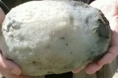 Para trafiła na plaży na dziwny, gumowaty kamień. Byli w szoku gdy dowiedzieli się ile jest warty