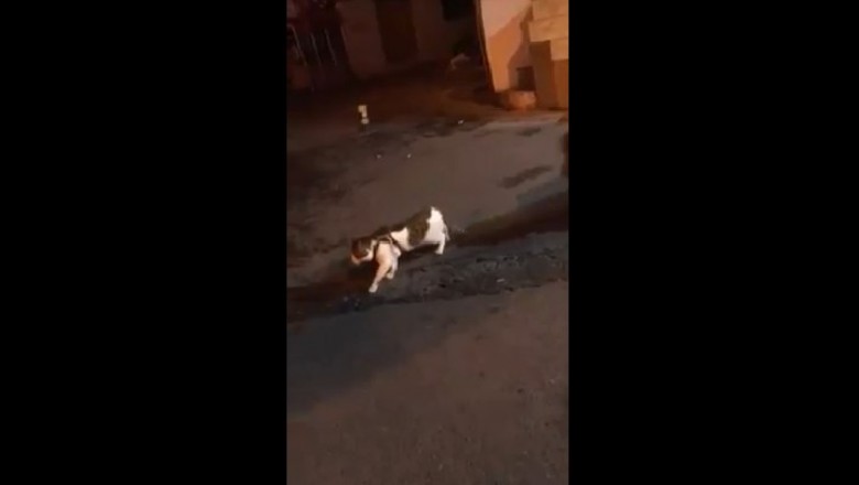 Gdy poniesie Cię fantazja, ale dobry kumpel nigdy nie pozwoli Ci się wkręcić w grubą aferę.