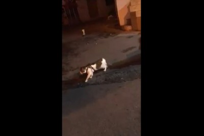 Gdy poniesie Cię fantazja, ale dobry kumpel nigdy nie pozwoli Ci się wkręcić w grubą aferę. 