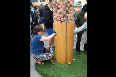 „Chytra Baba” z Lublina. Darmowe jabłka zabierane z dystrybutora w hurtowych ilościach