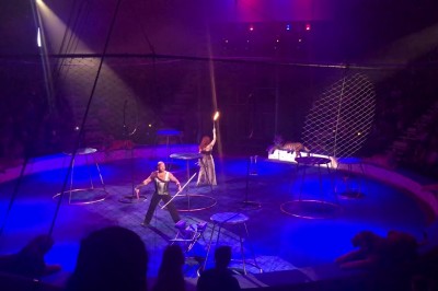 Tygrys podczas występu dostaje konwulsji i traci przytomność. Właśnie dlatego nie chodzę do cyrku