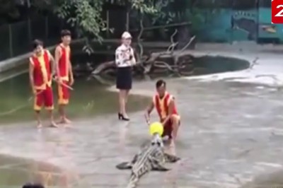 Niespodziewany atak niewidzialnego krokodyla. Dużo strachu na pokazie dzikich zwierząt