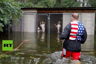 Mężczyzna ratuje psy uwięzione w klatce.  Miały bardzo dużo szczęścia tego dnia