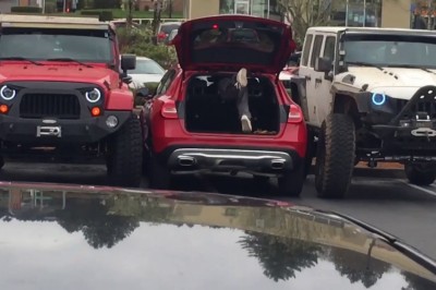 Zajął dwa miejsca parkingowe. Gdy wrócił czekała na niego niespodzianka 
