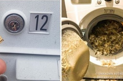 Ci ludzie naprawdę poczuli co to znaczy „mieć pecha”. Jak masz gorszy dzień, koniecznie spójrz na te zdjęcia