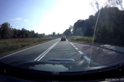 Ku przestrodze. Nagranie z auta do którego wpadł jeleń podczas jazdy