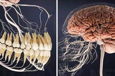 15 niesamowitych faktów na temat ludzkiego ciała. Jest ono bardziej wyjątkowe niż myślisz