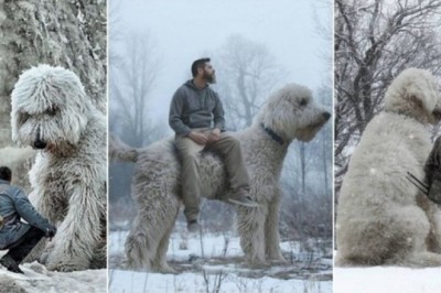 23 zwierzęta, które matka natura obdarzyła nietypowym wyglądem. Są jedyne w swoim rodzaju