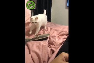 Film podczas, którego na pewno się zaśmiejesz. Niby nic szczególnego, a rozwala system