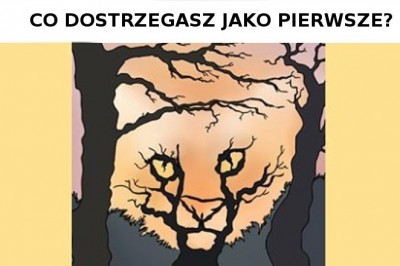 Pierwszy obrazek który zobaczysz powie ci, czego tak naprawdę pragnie twoje serce. Odpowiedz szczerze 