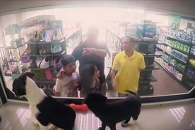 W sklepie zoologicznym zastąpiono rasowe szczeniaki psami ze schroniska. Klienci szybko zareagowali