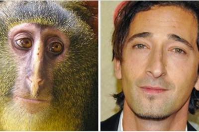 18 zwierząt które wyglądają jak znani aktorzy i celebryci. Patrząc na niektórych to chyba rodzeństwo 