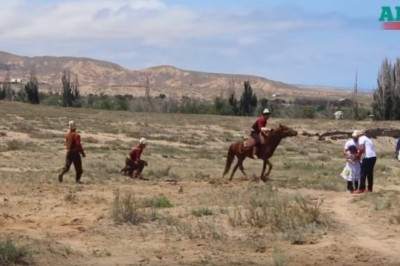 Wielki orzeł błyskawicznie pikuje na małe dziecko. Nagranie z pokazów mrozi krew w żyłach