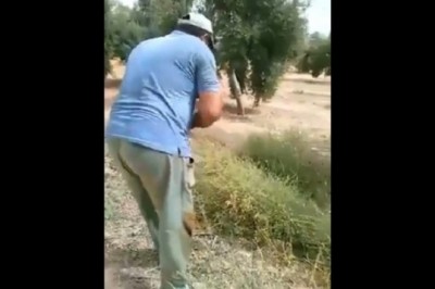 Ekstremalne polowanie prawdziwego mężczyzny przy użyciu samych rąk