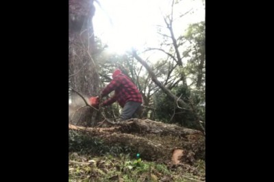 Drwal z ogromnym pechem. Chyba nikt nie chciałby się znaleźć w jego sytuacji 
