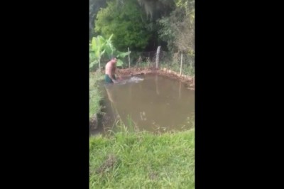 Łowienie ryb gołymi rękoma. Gość szybko pożałował, że tam wszedł