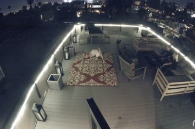 Kiedy planujesz romantyczną kolację z dziewczyną, a ona robi coś takiego