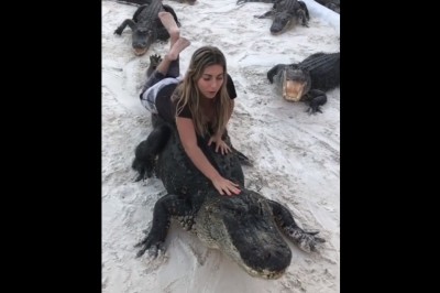 Blondyna i jej przejażdżka na krokodylu. Czy to jest odwaga czy czysta głupota?