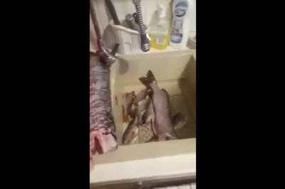 Mąż nagrał wkurzoną żonę po powrocie z ryb. Srogo z nim pojechała