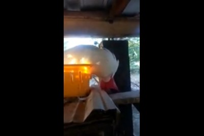 Ziomek rozwalił system swoją akcją. Zemsta bywa słodka