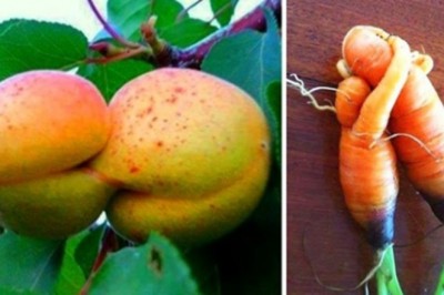 20 niezwykłych warzyw i owoców, które wyglądają jakby żyły własnym życiem