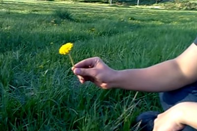 Zupełnie bezużyteczny poradnik, który jest hitem youtuba - Usztywnianie mlecza