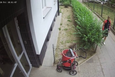 Mistrz kamuflażu i jego plan, który nie do końca wypalił - Wola Warszawa