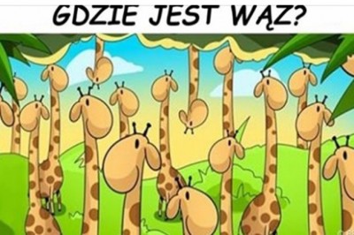Jedynie 15% ludzi jest w stanie rozszyfrować te zagadki w mniej niż 30 sekund. Wytęż wzrok 