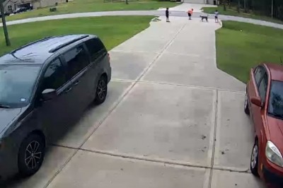 Obronił dziecko przed wściekłym pitbullem. Pies rzucił się za nim w pościg