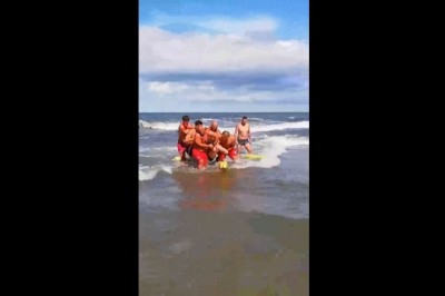 Buractwo nad polskim morzem? Ratownicy musieli go na siłę wyciągać z Bałtyku