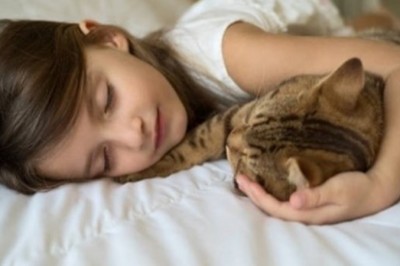 Konsekwencje spania z kotem w łóżku. Podejrzewałam to, teraz badania to potwierdzają