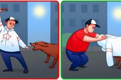 To musisz wiedzieć w sytuacji gdy zaatakuje cię pies. Jak nie sprowokować go bardziej
