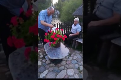 „Rośnie jak grzyby po deszczu”. Niespodzianka w ogródku 