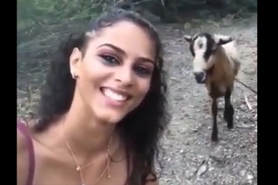 Chciała sobie zrobić selfie z baranem. Nie sądziła, że wyjdzie tak ciekawie