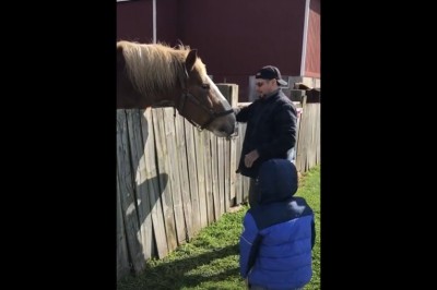 Nie ma to jak karmienie konia z tatusiem. Nigdy nie wiesz co się stanie